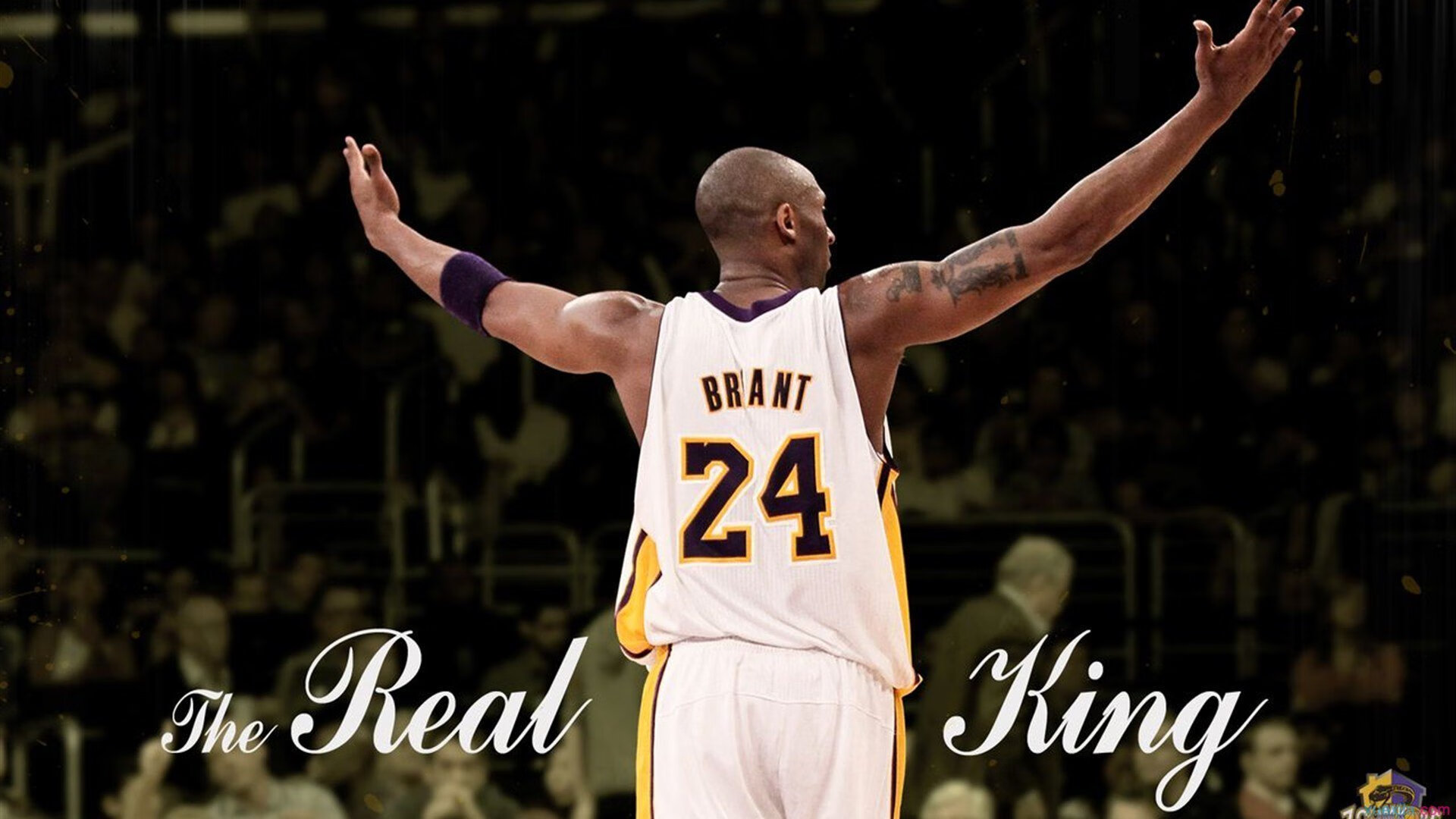 _智慧体育大赛：科技助力运动创新_，智能体育进校园